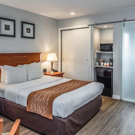 The Inn At 1252 Monterey Bagian luar foto