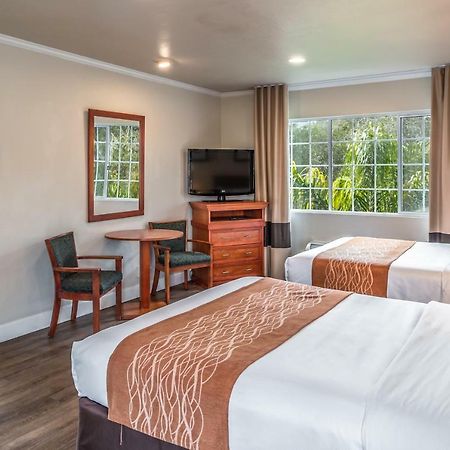 The Inn At 1252 Monterey Bagian luar foto