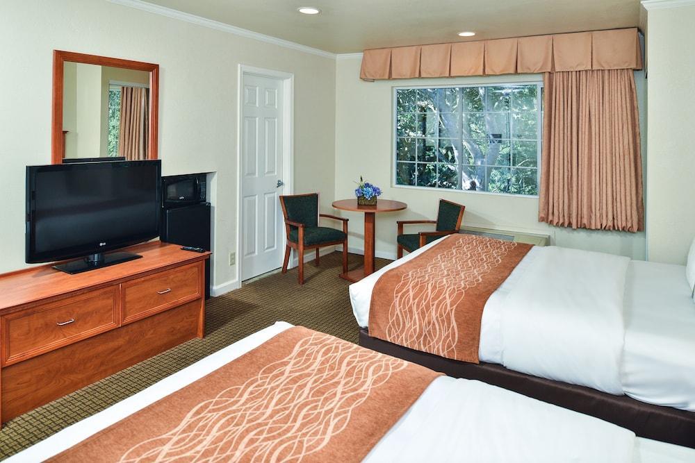 The Inn At 1252 Monterey Bagian luar foto