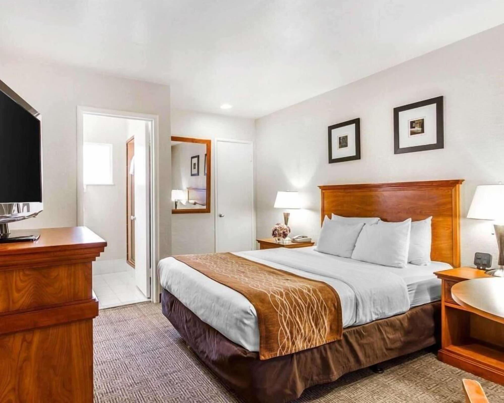 The Inn At 1252 Monterey Bagian luar foto