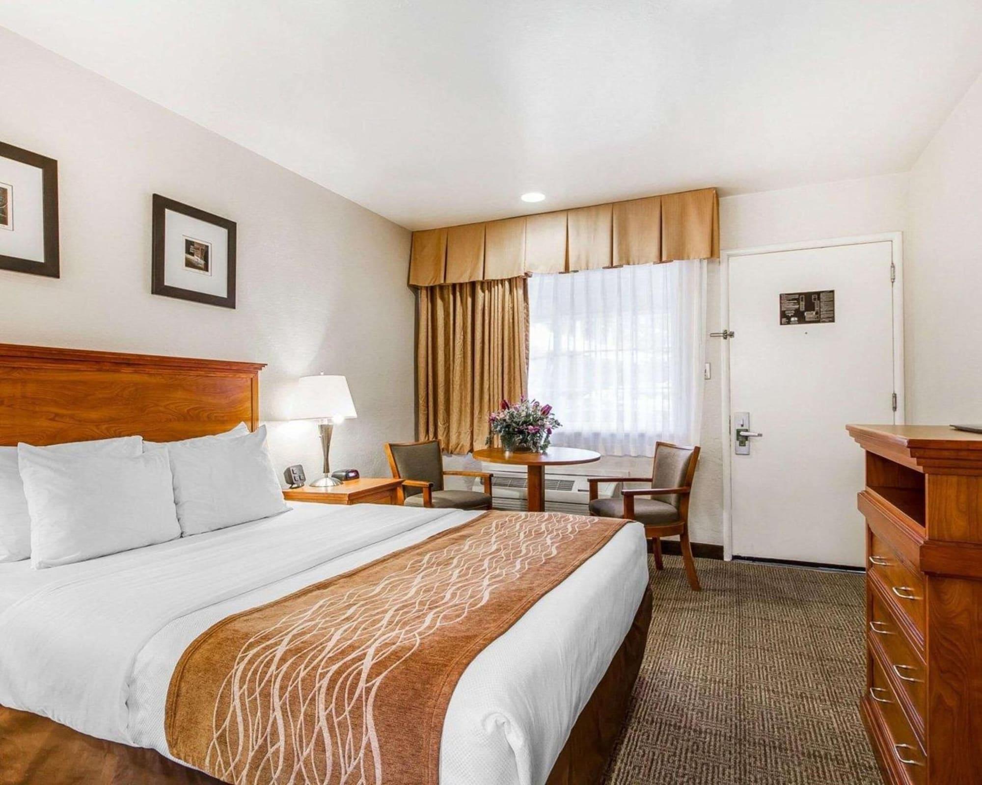 The Inn At 1252 Monterey Bagian luar foto