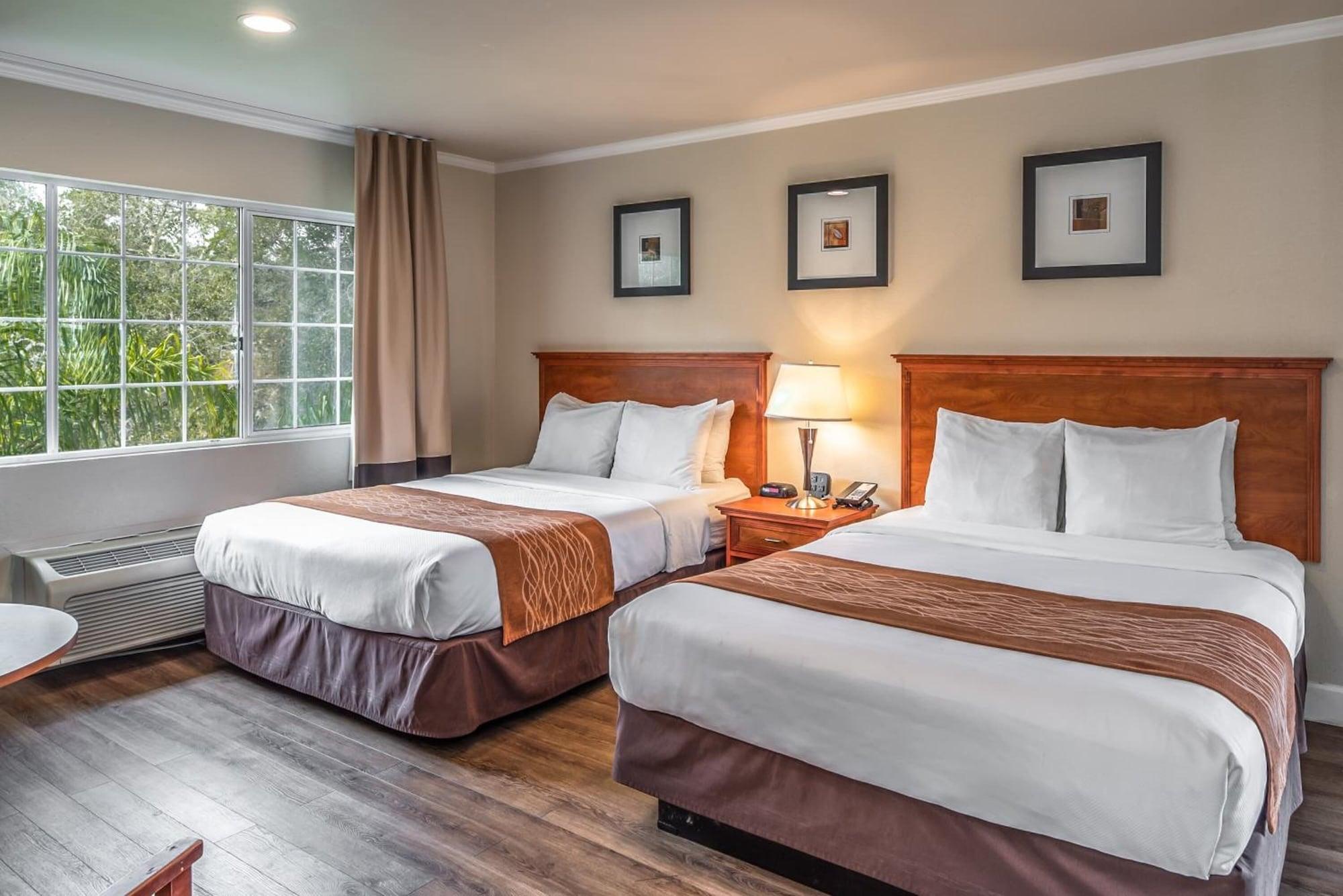 The Inn At 1252 Monterey Bagian luar foto