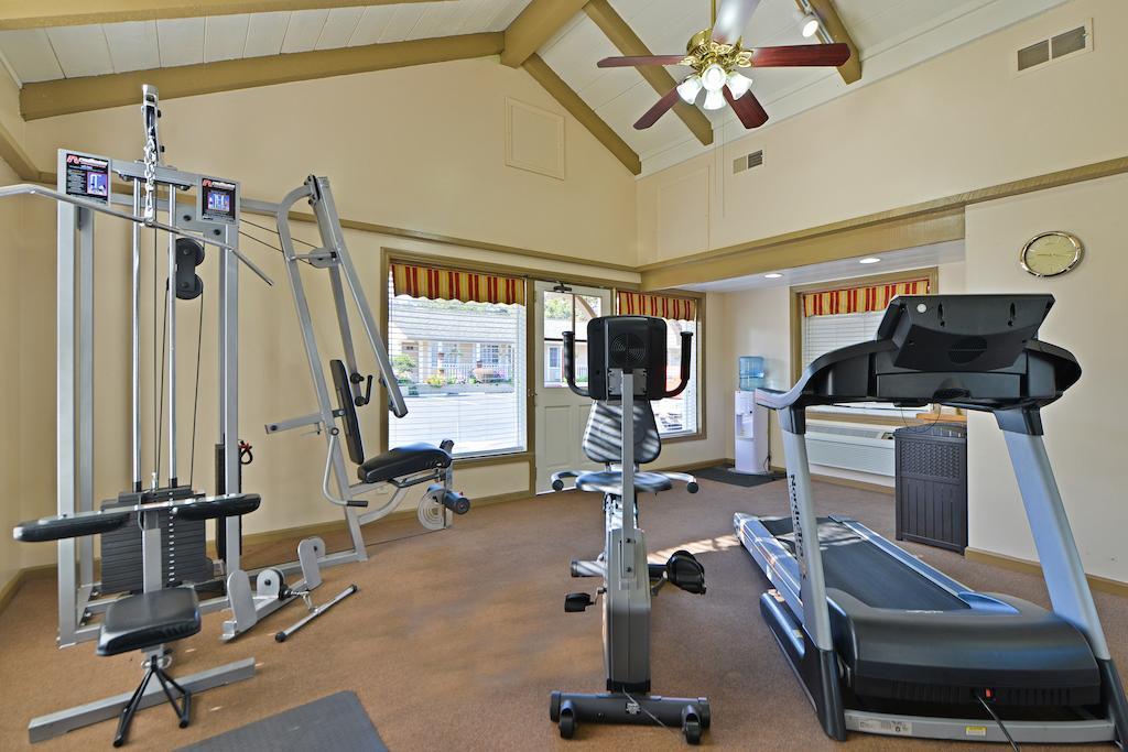The Inn At 1252 Monterey Bagian luar foto