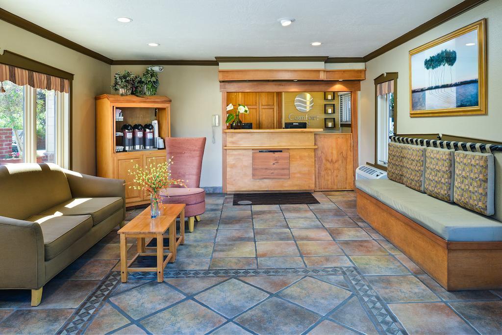 The Inn At 1252 Monterey Bagian luar foto