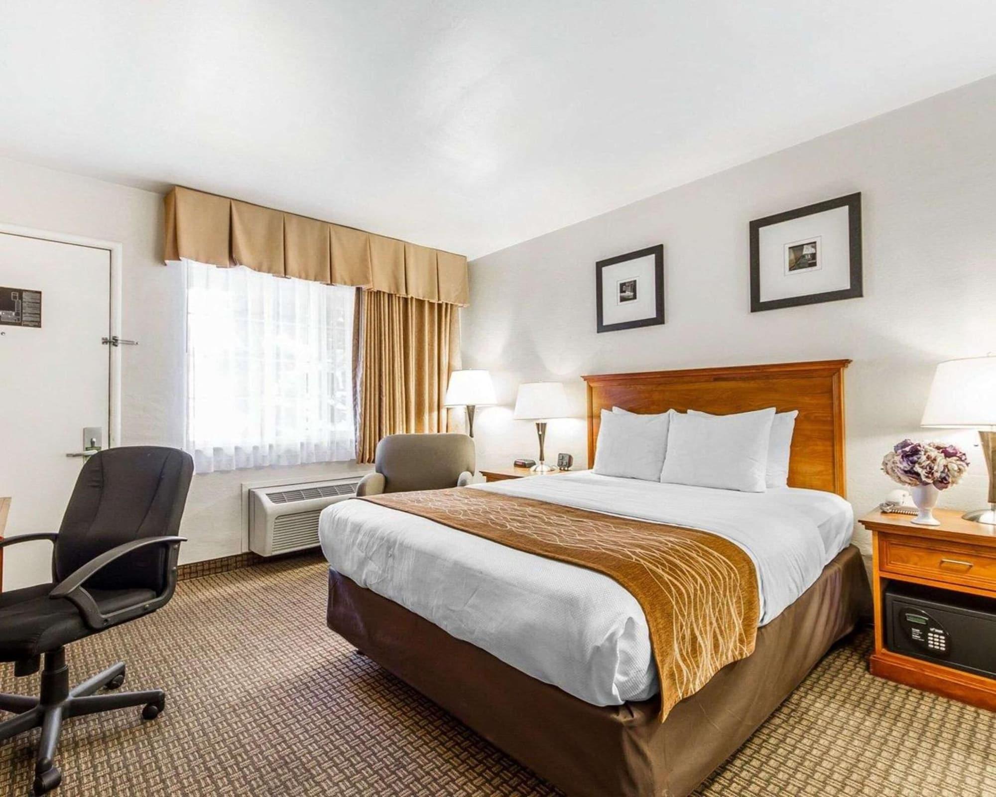 The Inn At 1252 Monterey Bagian luar foto