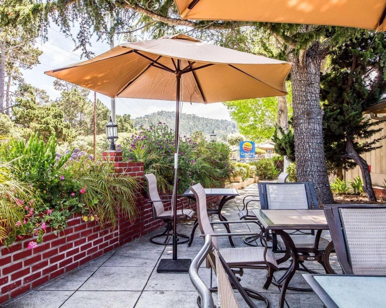 The Inn At 1252 Monterey Bagian luar foto