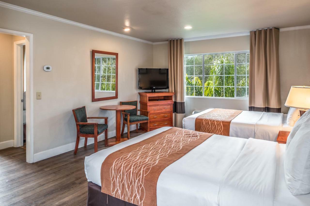 The Inn At 1252 Monterey Bagian luar foto