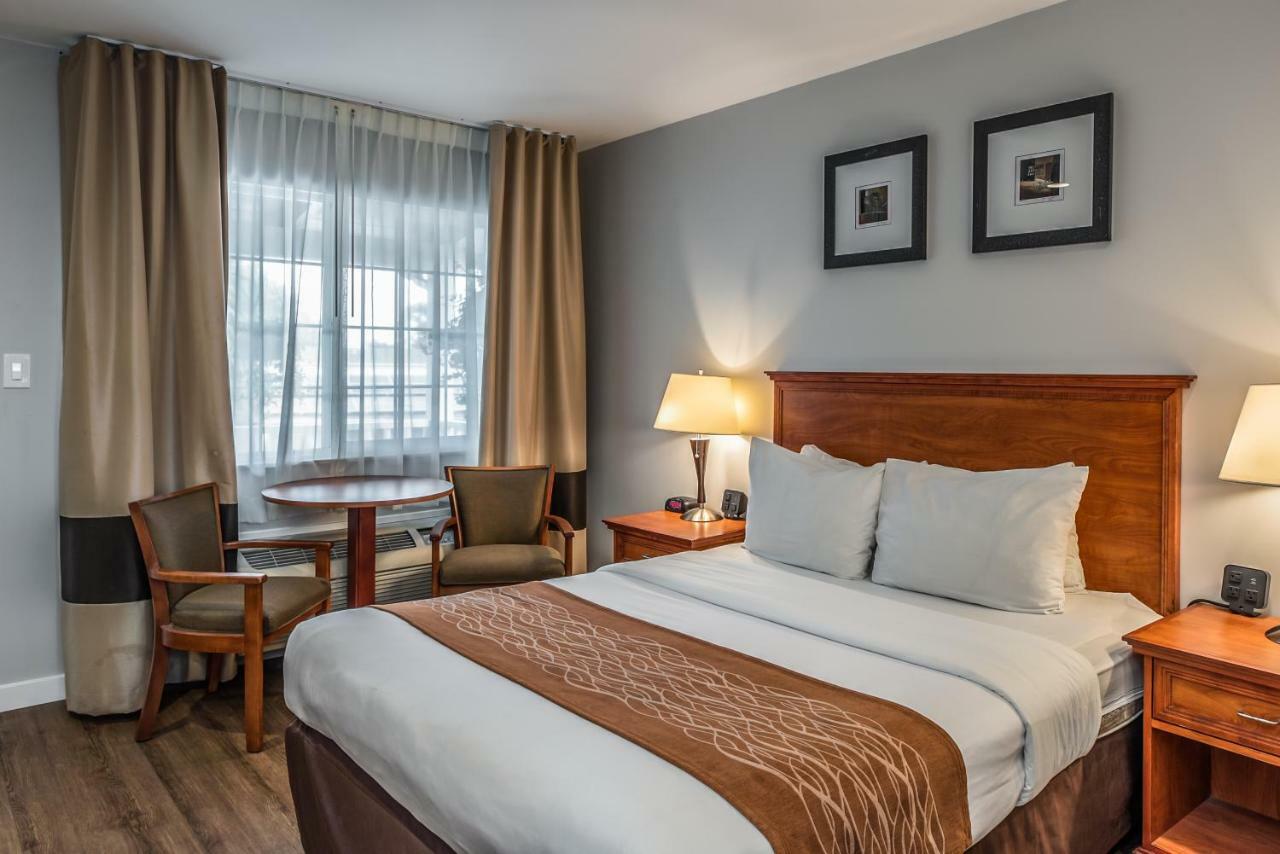 The Inn At 1252 Monterey Bagian luar foto